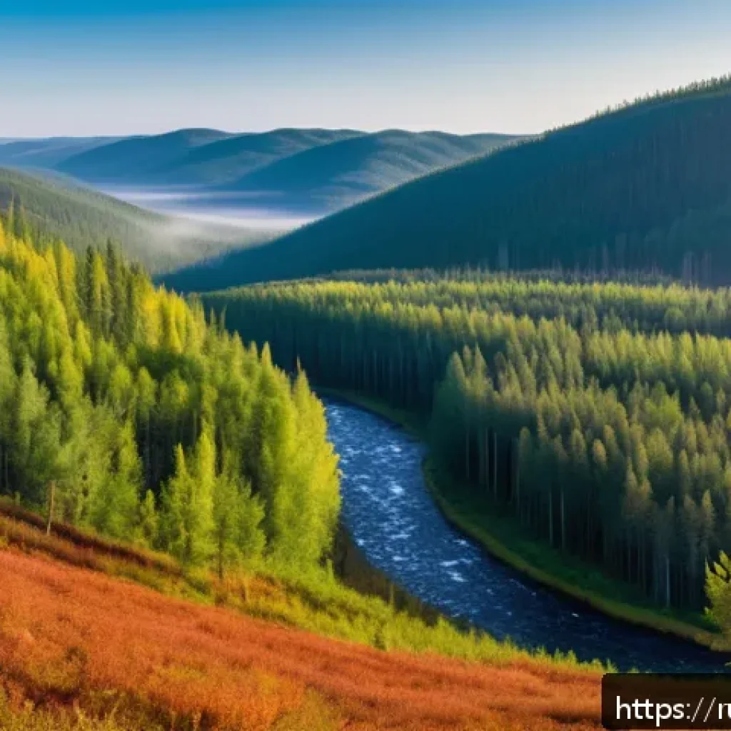 환경 지리학 - A panoramic view of the Siberian taiga forest in Russia during early autumn, showcasing dense evergr...