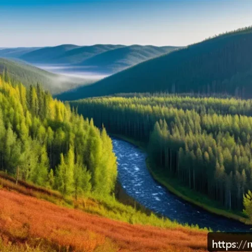 Home 30 환경 지리학 - A panoramic view of the Siberian taiga forest in Russia during early autumn, showcasing dense evergr...