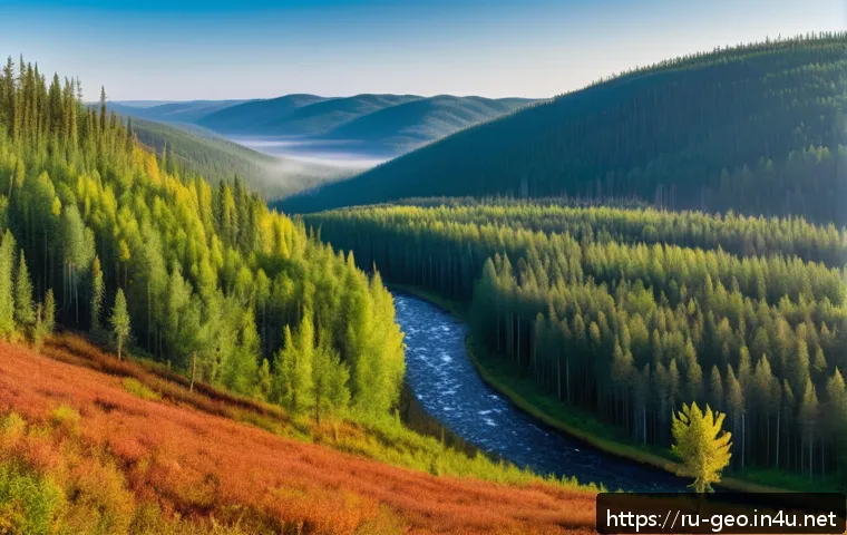 환경 지리학 - A panoramic view of the Siberian taiga forest in Russia during early autumn, showcasing dense evergr...